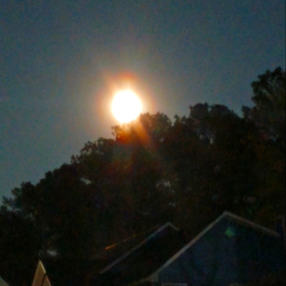 Meet your Posher, Tanya